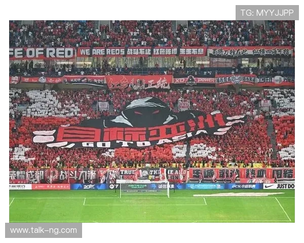 图卢兹俱乐部最新动态：新赛季引援战略及球队目标正式公布