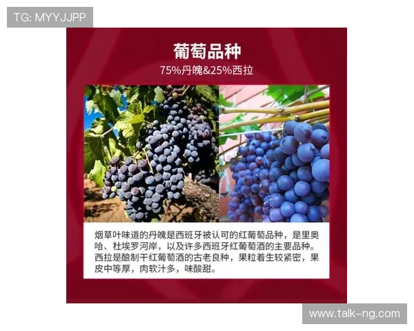 瓦伦西亚俱乐部历史辉煌与未来发展潜力的深度分析